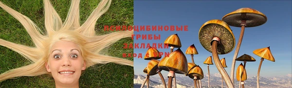 метадон Чердынь