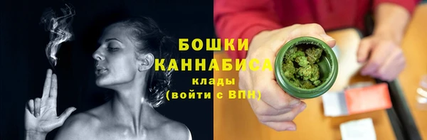 шишки Усолье-Сибирское