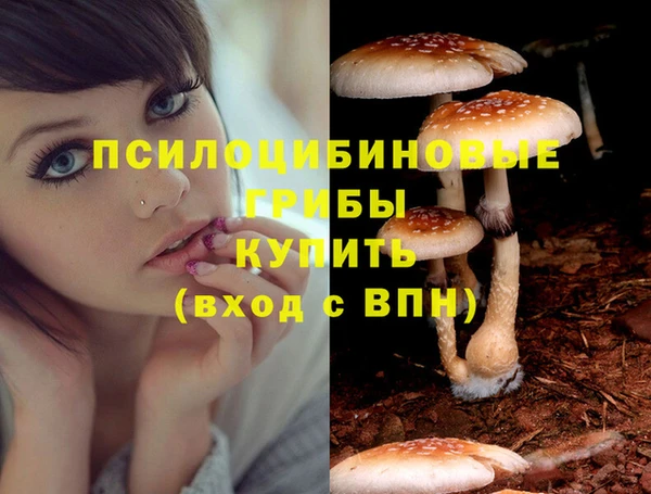 Альфа ПВП Навашино